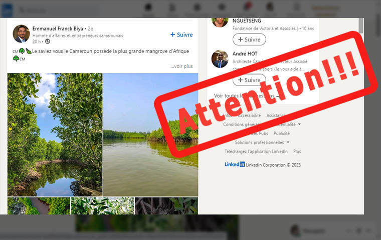 Environnement : Le Cameroun ne possède pas la plus grande mangrove d’Afrique