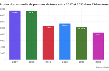 Adamaoua : La production de pommes de terre chute de 44% entre 2017 et 2022