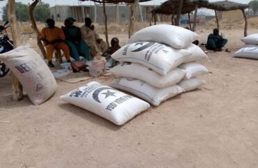 Nord :  Rey-Bouba en guerre contre la spoliation des producteurs