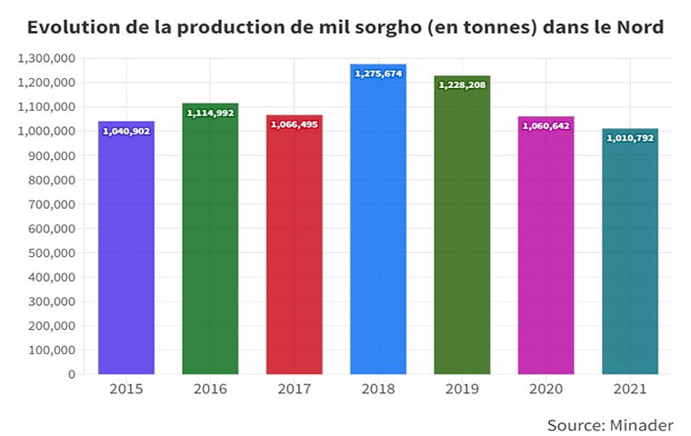 Nord : La production du sorgho chute de 4,7% en 2021