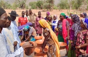 Nord : Le canari, baptisé « frigo artisanal », a le vent en poupe