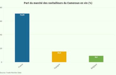 Importation de vin : Le Cameroun dépense près de 23 milliards Fcfa en 2022