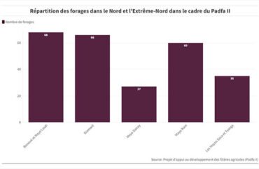 Perte post-production :  Une baisse de 10% enregistrée dans la filière oignon au Nord