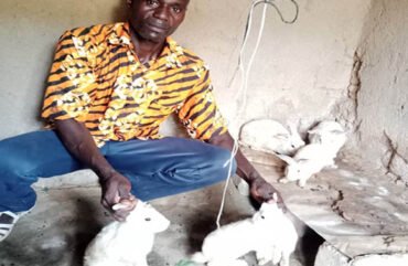 Bassirou Alphonse : Un magnat de la cuniculture dans le Faro