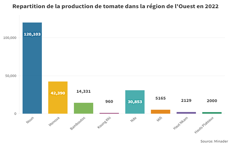 Tomate : A l’Ouest, la production augmente de plus 300 tonnes en 2022