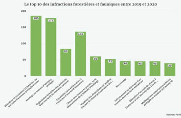 Forêts et faune : Les infractions en hausse de près de 12% au Cameroun