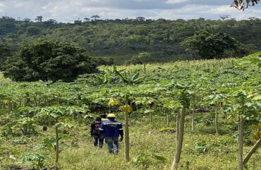 Agriculture : Le Cameroun offre 400.000 ha de terres aux producteurs