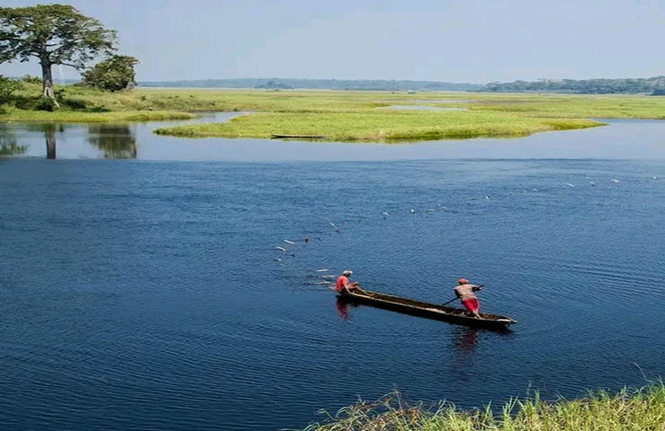 Est : Le fleuve Nyong en voie de disparition