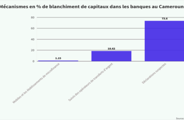 Flux financiers illicites : Le Cameroun perd 1869 milliards entre 2006 et 2021