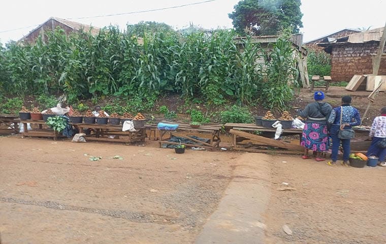 Engrais : Trois usines de production en gestation au Cameroun