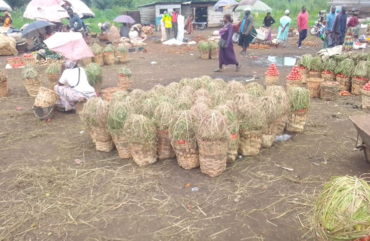 Foumbot : Immersion dans le marché qui ravitaille l’Afrique Centrale