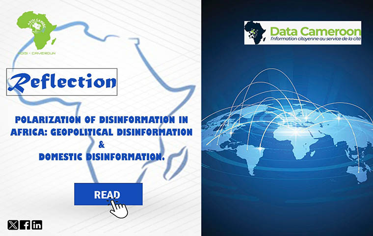 Analysis: Towards the polarization of disinformation in Africa
