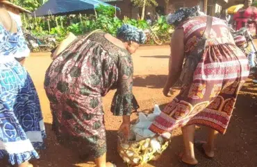 Bafoussam : Des ménages misent sur le petit élevage de poulets de chair