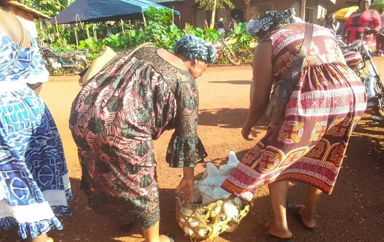 Bafoussam : Des ménages misent sur le petit élevage de poulets de chair