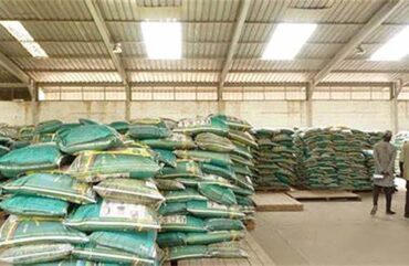 Insuffisance alimentaire :  le Cameroun veut préserver son stock de riz