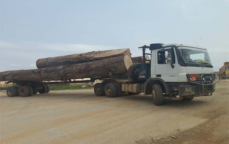 Foreign Trade: At least 2 million tonnes of timber pass through Cameroon every year since 2018