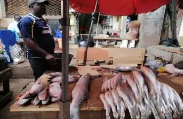 Consommation : Au marché, les denrées alimentaires toujours hors de prix