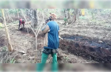 Ouest : Ces petites mains derrière la production agricole