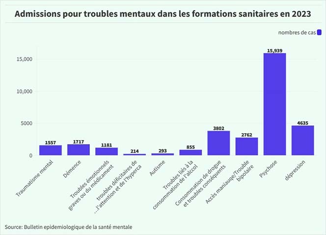 Psychose : 41 631 cas enregistrés au Cameroun en 3 ans