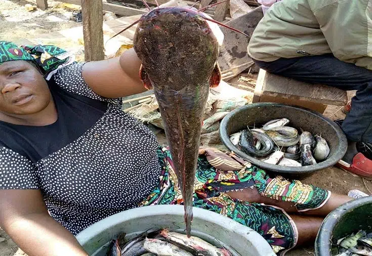 Une vendeuse de poissons au débarcadère d’Ouami