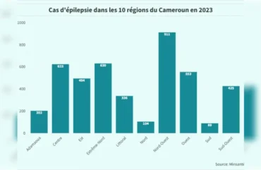 Epilepsie : Le Cameroun enregistre une quarantaine de morts en 2023