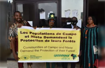 Déforestation au Cameroun : la société civile tire la sonnette d’alarme