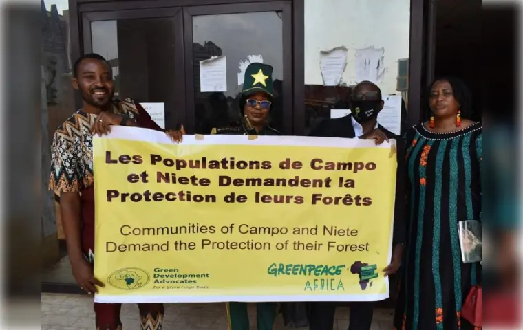 Déforestation au Cameroun : la société civile tire la sonnette d’alarme