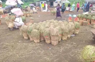 Inflation : Le Cameroun sous la menace d’une flambée inflationniste  