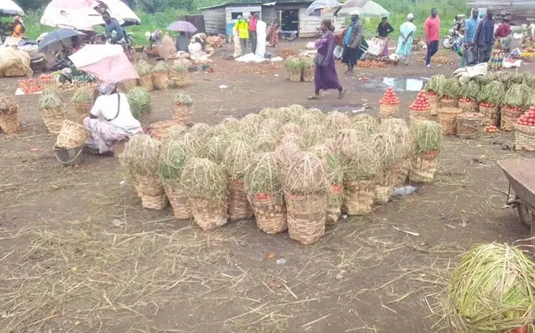 Inflation : Le Cameroun sous la menace d’une flambée inflationniste