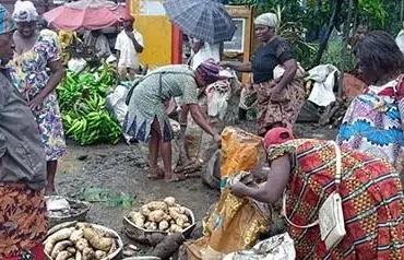 Pauvreté : Le milieu rural plus affecté au Cameroun
