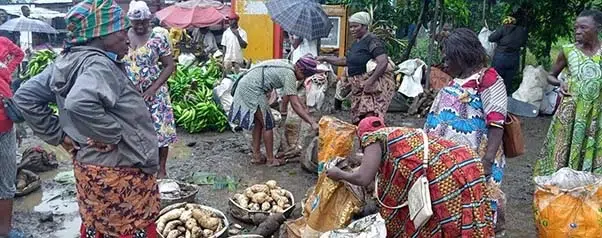 Pauvreté : Le milieu rural plus affecté au Cameroun