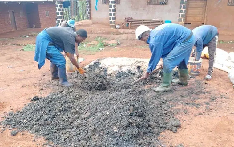 Agriculture biologique : La société civile vulgarise les bonnes pratiques à l’Ouest