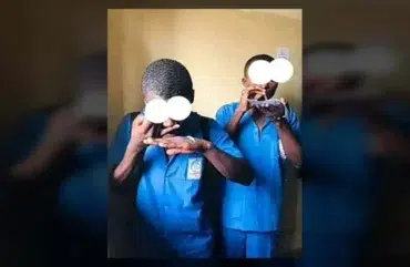 Consommation des drogues : les jeunes de moins 40 ans les plus exposés au Cameroun