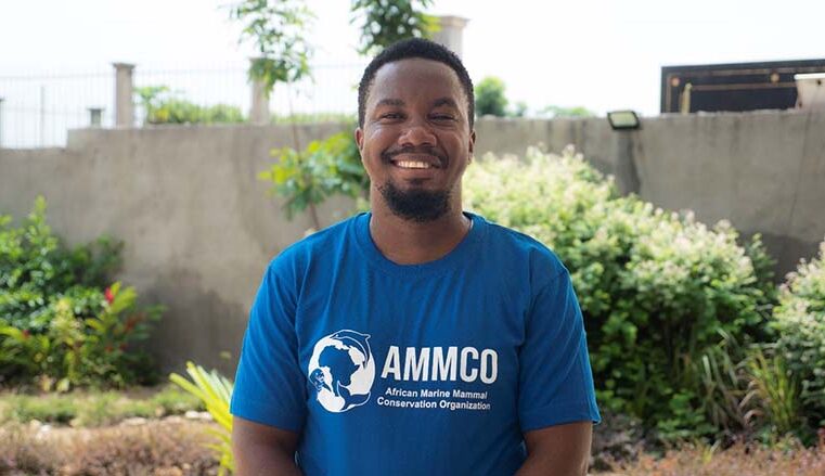 Ressource halieutique : « Le statut des dauphins à bosse de l’Atlantique est critique en termes d’espèce en danger et en voie de disparition »