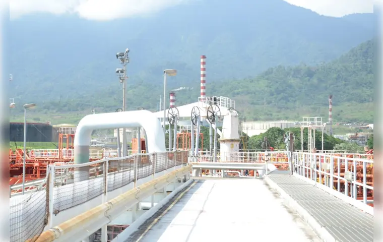 Pétrole brut : la production nationale de plus en plus faible