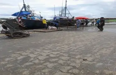 CEMAC: Joint ownership of boats Increases illegal fishing 