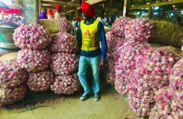 Oignons : À Douala, le prix des oignons chute de plus de la moitié