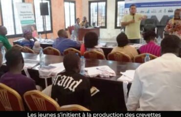 Crevetticulture : Une niche d’opportunités pour les jeunes à l’Ouest
