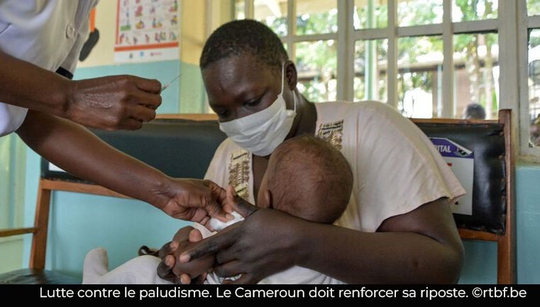 Paludisme : En hausse, la prévalence reste alarmante dans le Grand Sud