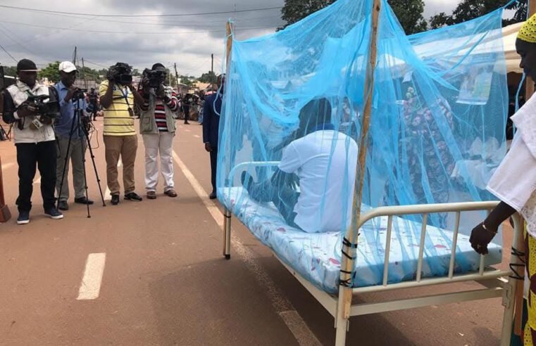 Paludisme : l’utilisation des moustiquaires toujours faible au Cameroun