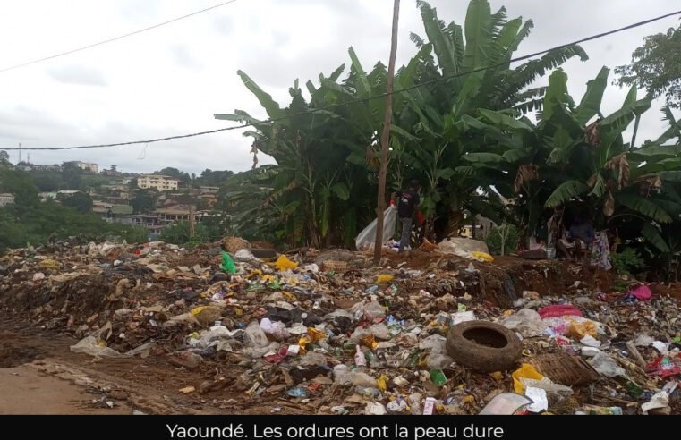 Assainissement urbain : Yaoundé peine à faire sa toilette