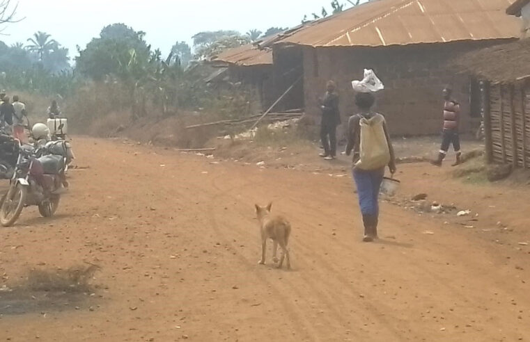 Ouest : Un cas de rage humaine déclaré en trois ans