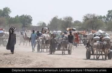 Insécurité : le nombre de déplacé interne baisse en 2024