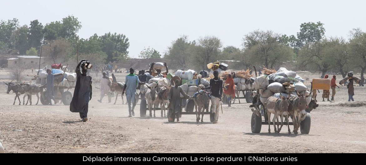 Insécurité : le nombre de déplacé interne baisse en 2024