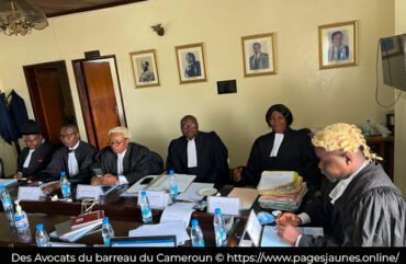 Droits humains : Au Cameroun, les avocats suspendent leur robe
