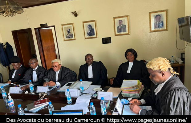Droits humains : Au Cameroun, les avocats suspendent leur robe
