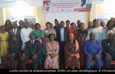 Lutte contre la drépanocytose : Le Cameroun se dote d’un plan stratégique national