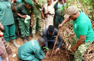 Ouest : 300 arbres fruitiers et médicinaux pour préserver les forêts sacrées