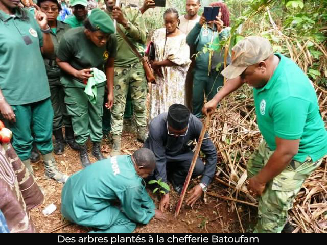 Ouest : 300 arbres fruitiers et médicinaux pour préserver les forêts sacrées