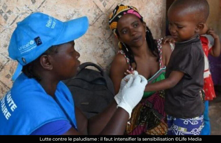 Paludisme : Le nombre de cas confirmés régresse entre 2021 et 2024